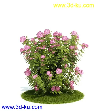 植物模型,园林模型,景观模型,树模型,灌木模型共60个的图片24