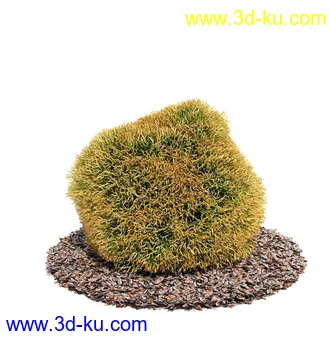 植物模型,园林模型,景观模型,树模型,灌木模型共60个的图片25