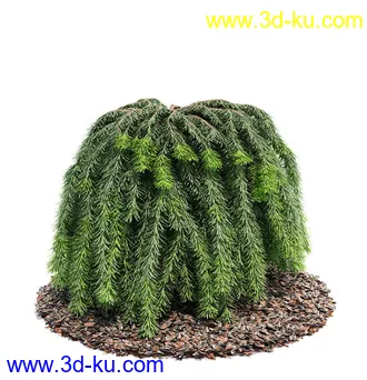 植物模型,园林模型,景观模型,树模型,灌木模型共60个的图片26