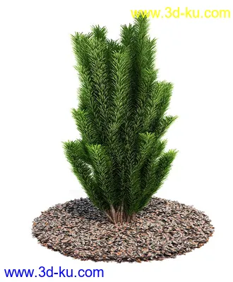 植物模型,园林模型,景观模型,树模型,灌木模型共60个的图片27