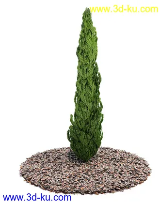 植物模型,园林模型,景观模型,树模型,灌木模型共60个的图片28