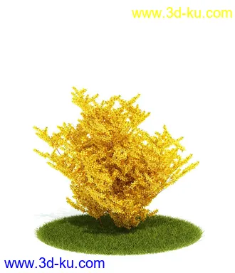 植物模型,园林模型,景观模型,树模型,灌木模型共60个的图片29