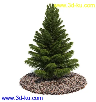 植物模型,园林模型,景观模型,树模型,灌木模型共60个的图片30