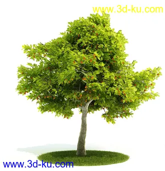 植物模型,园林模型,景观模型,树模型,灌木模型共60个的图片32