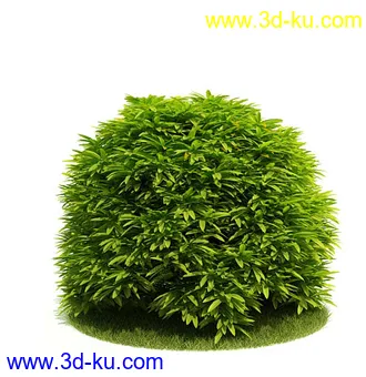 植物模型,园林模型,景观模型,树模型,灌木模型共60个的图片