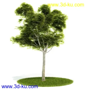 植物模型,园林模型,景观模型,树模型,灌木模型共60个的图片