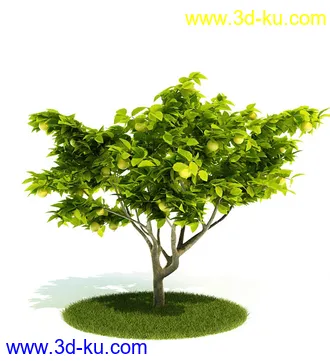 植物模型,园林模型,景观模型,树模型,灌木模型共60个的图片