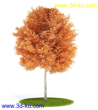 植物模型,园林模型,景观模型,树模型,灌木模型共60个的图片