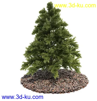 植物模型,园林模型,景观模型,树模型,灌木模型共60个的图片