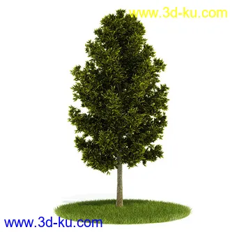 植物模型,园林模型,景观模型,树模型,灌木模型共60个的图片