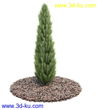 植物模型,园林模型,景观模型,树模型,灌木模型共60个的图片