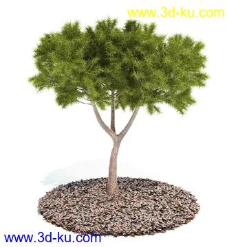 植物模型,园林模型,景观模型,树模型,灌木模型共60个的图片