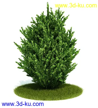 植物模型,园林模型,景观模型,树模型,灌木模型共60个的图片