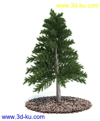 植物模型,园林模型,景观模型,树模型,灌木模型共60个的图片