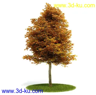 植物模型,园林模型,景观模型,树模型,灌木模型共60个的图片