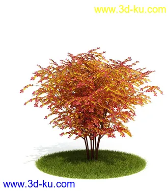 植物模型,园林模型,景观模型,树模型,灌木模型共60个的图片