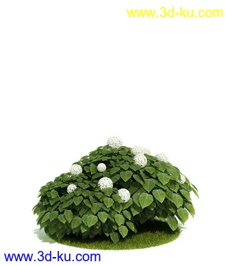 植物模型,园林模型,景观模型,树模型,灌木模型共60个的图片