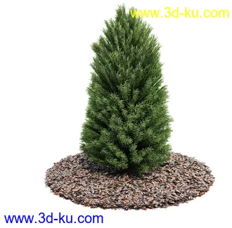 植物模型,园林模型,景观模型,树模型,灌木模型共60个的图片