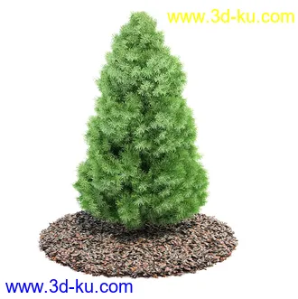 植物模型,园林模型,景观模型,树模型,灌木模型共60个的图片