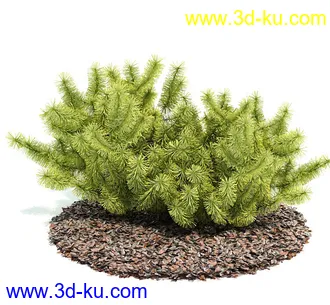 植物模型,园林模型,景观模型,树模型,灌木模型共60个的图片