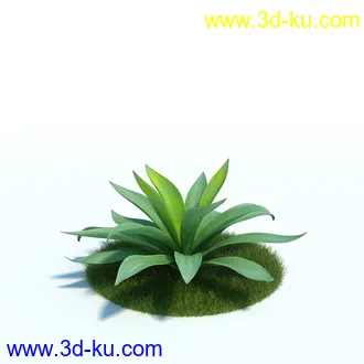 龙舌兰,合欢树,帚石楠,红淡比,朱蕉,澳洲朱蕉,雪叶莲,花树,植物模型合集的图片