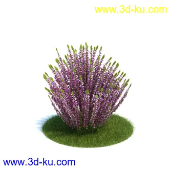 龙舌兰,合欢树,帚石楠,红淡比,朱蕉,澳洲朱蕉,雪叶莲,花树,植物模型合集的图片