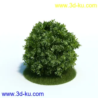 龙舌兰,合欢树,帚石楠,红淡比,朱蕉,澳洲朱蕉,雪叶莲,花树,植物模型合集的图片