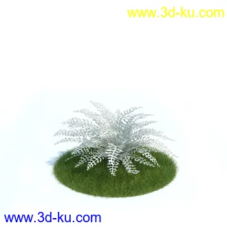 龙舌兰,合欢树,帚石楠,红淡比,朱蕉,澳洲朱蕉,雪叶莲,花树,植物模型合集的图片