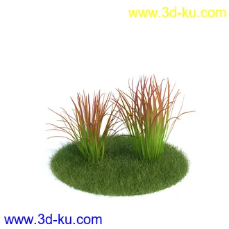 刺桐树,八角金盘,垂叶榕,八仙花,白茅,美国黑核桃,火炬松树,植物模型合集的图片