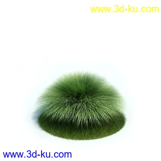 弗吉尼亚木兰,粉黛乱子草,大丛乱子草,朱槿牡丹,加拿利海枣,植物模型合集的图片