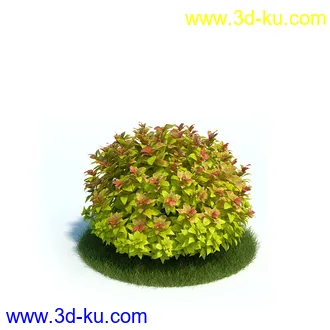 黄槽竹,悬铃木树,法国梧桐,檫木树,巴西胡椒木,绣线菊花,植物模型合集的图片