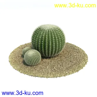 金琥,仙人球模型,鹿角柱,小檗属,无花果,油橄榄,橙树,黄花风铃木,植物模型合集的图片