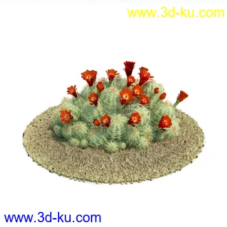 金琥,仙人球模型,鹿角柱,小檗属,无花果,油橄榄,橙树,黄花风铃木,植物模型合集的图片