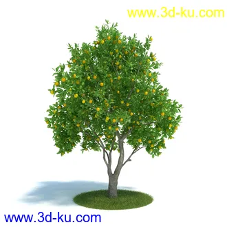 金琥,仙人球模型,鹿角柱,小檗属,无花果,油橄榄,橙树,黄花风铃木,植物模型合集的图片