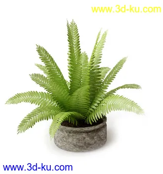 盆景模型,盆栽模型,鲜花,花草,室内盆景,景观植物,花瓶,花盆,植物模型合集的图片