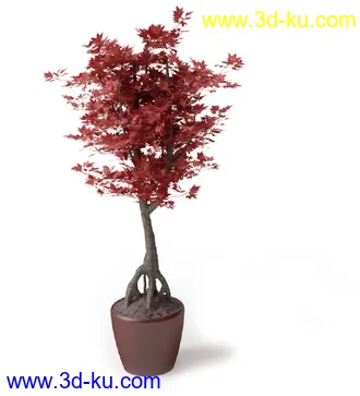 盆景模型,盆栽模型,鲜花,花草,室内盆景,景观植物,花瓶,花盆,植物模型合集的图片