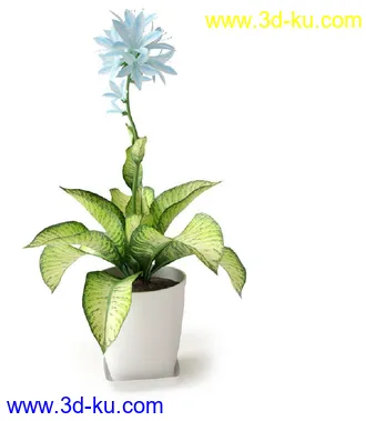 盆景模型,盆栽模型,鲜花,花草,室内盆景,景观植物,花瓶,花盆,植物模型合集的图片