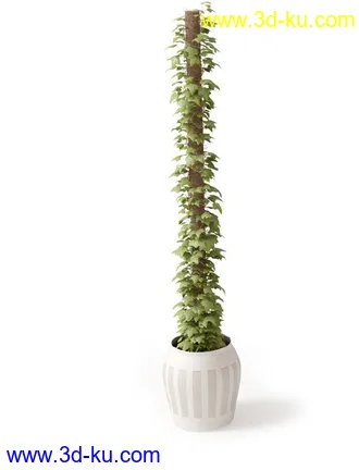 盆景模型,盆栽模型,鲜花,花草,室内盆景,景观植物,花瓶,花盆,植物模型合集的图片