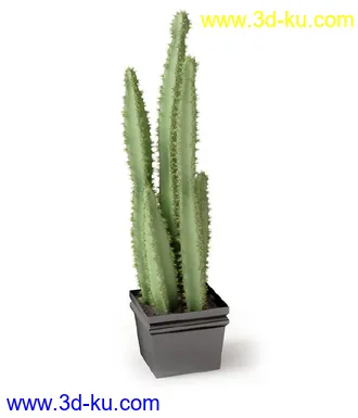 盆景模型,盆栽模型,鲜花,花草,室内盆景,景观植物,花瓶,花盆,植物模型合集的图片