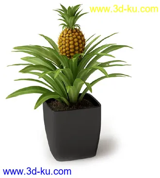 盆景模型,盆栽模型,鲜花,花草,室内盆景,景观植物,花瓶,花盆,植物模型合集的图片