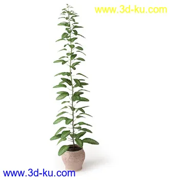 盆景模型,盆栽模型,鲜花,花草,室内盆景,景观植物,花瓶,花盆,植物模型合集的图片