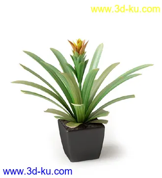 盆景模型,盆栽模型,鲜花,花草,室内盆景,景观植物,花瓶,花盆,植物模型合集的图片