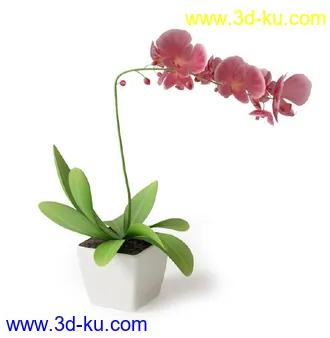 盆景模型,盆栽模型,鲜花,花草,室内盆景,景观植物,花瓶,花盆,植物模型合集的图片