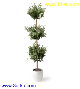 盆景模型,盆栽模型,鲜花,花草,室内盆景,景观植物,花瓶,花盆,植物模型合集的图片