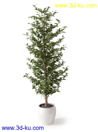 盆景模型,盆栽模型,鲜花,花草,室内盆景,景观植物,花瓶,花盆,植物模型合集的图片