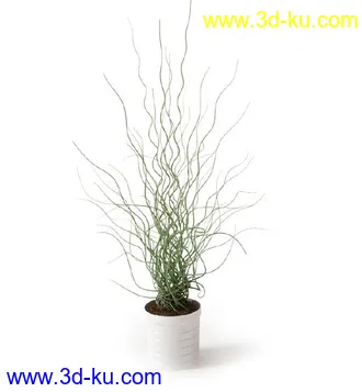 盆景模型,盆栽模型,鲜花,花草,室内盆景,景观植物,花瓶,花盆,植物模型合集的图片