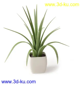 盆景模型,盆栽模型,鲜花,花草,室内盆景,景观植物,花瓶,花盆,植物模型合集的图片