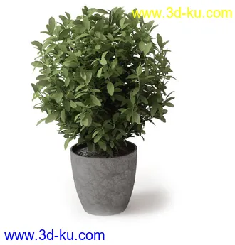 盆景模型,盆栽模型,鲜花,花草,室内盆景,景观植物,花瓶,花盆,植物模型合集的图片