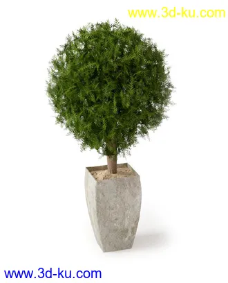 盆景模型,盆栽模型,鲜花,花草,室内盆景,景观植物,花瓶,花盆,植物模型合集的图片