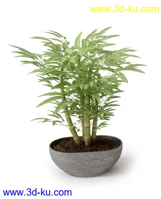 盆景模型,盆栽模型,鲜花,花草,室内盆景,景观植物,花瓶,花盆,植物模型合集的图片